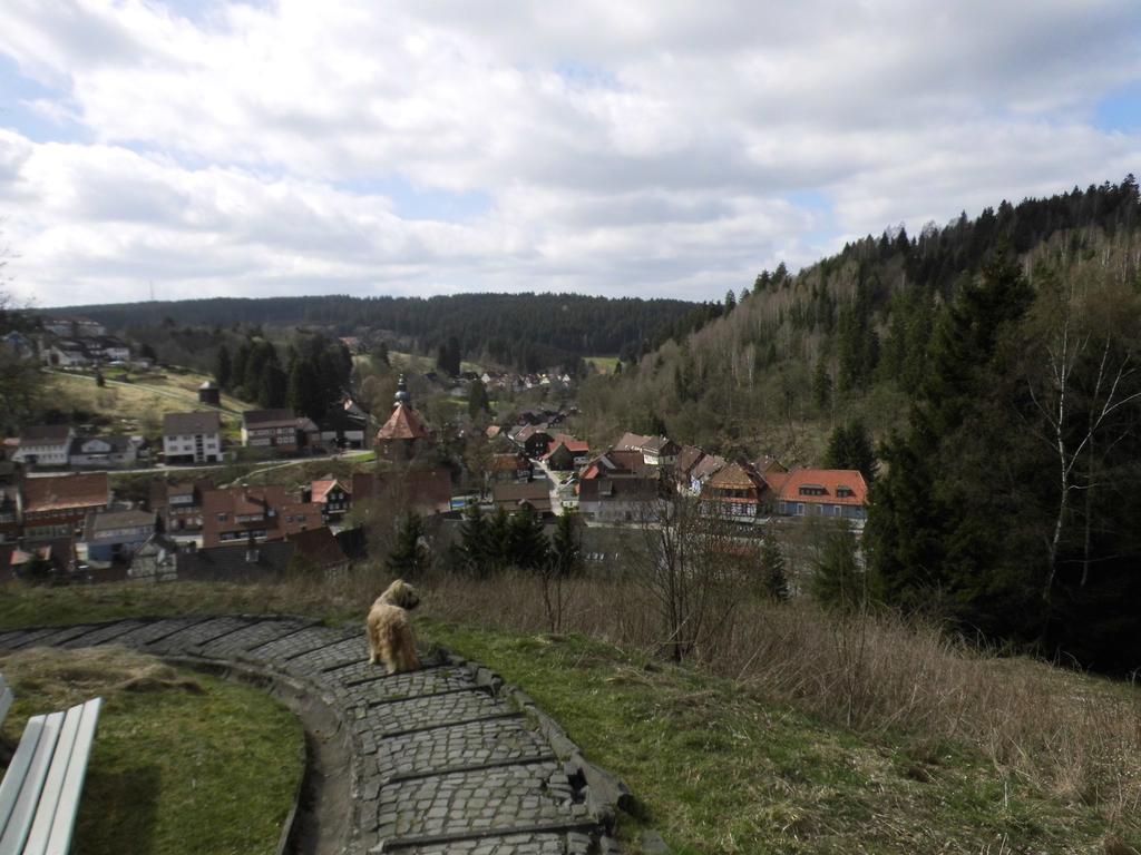 Ferienappartement Potthoff Altenau  Esterno foto