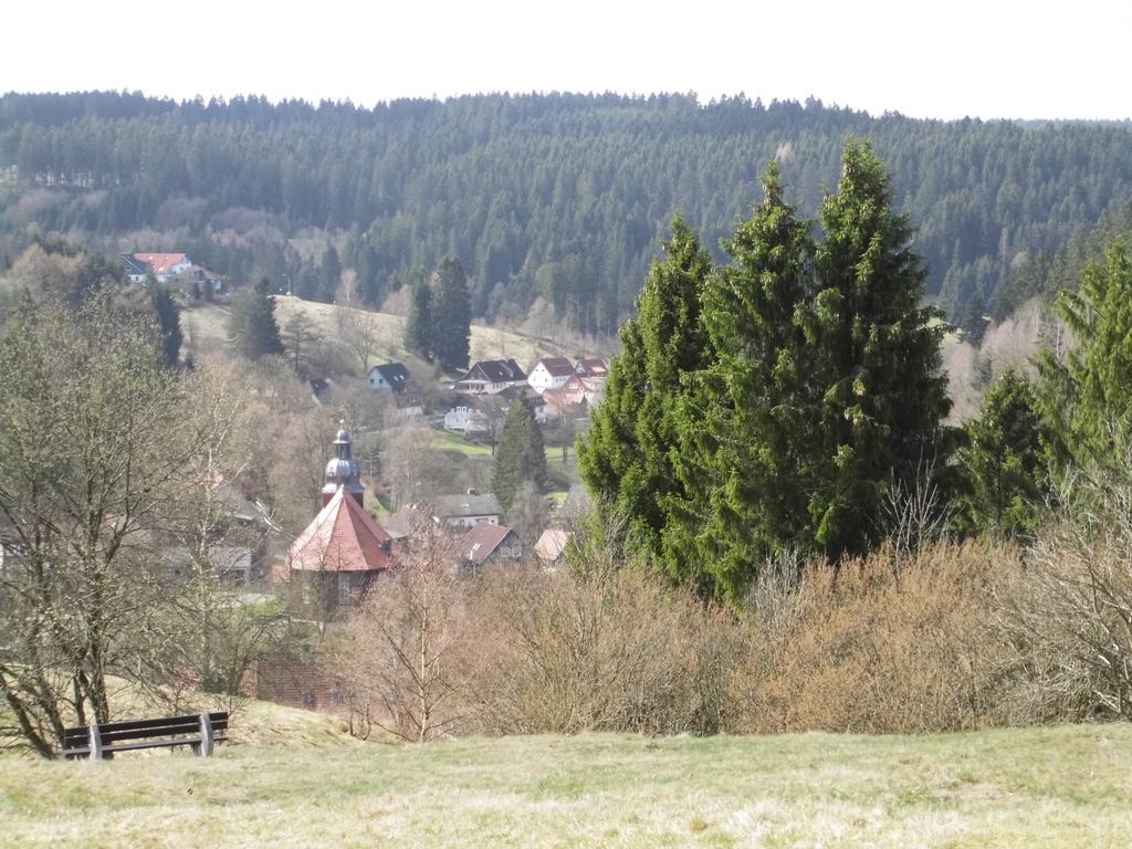 Ferienappartement Potthoff Altenau  Esterno foto